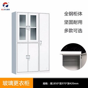 龍立 XW-BG030二門更衣柜 浴室健身房儲物柜