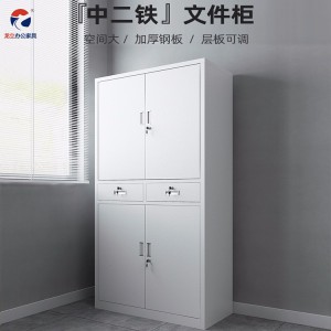 龍立辦公家具供應(yīng)二斗鐵皮文件柜 帶鎖抽屜儲物柜 加厚冷軋鋼 結(jié)實耐用