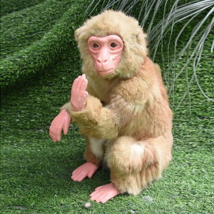 動物仿真模型 創(chuàng)新動物 回歸自然動物