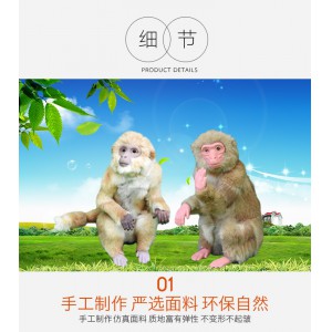 動物仿真模型 創(chuàng)新動物 回歸自然動物